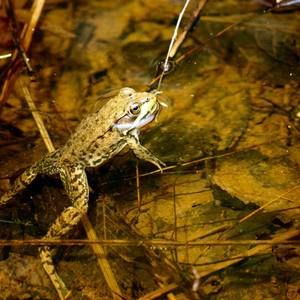 Meet your Posher, Jonah